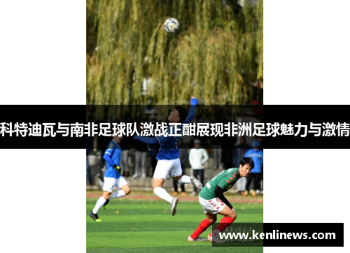 科特迪瓦与南非足球队激战正酣展现非洲足球魅力与激情
